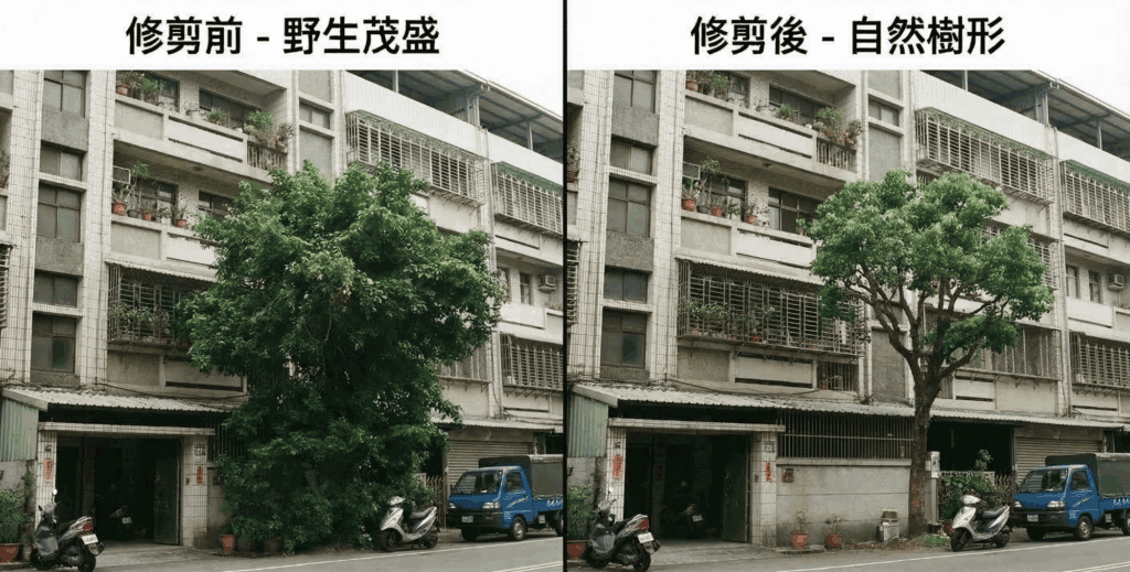 樹木修剪成自然樹形,房屋的年齡和氣質馬上看起來不同!