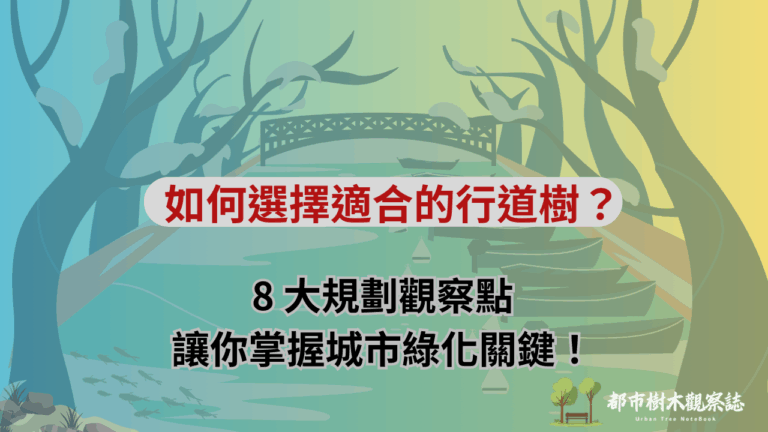 如何選擇適合的行道樹？8-大規劃觀察點讓你掌握城市綠化關鍵！