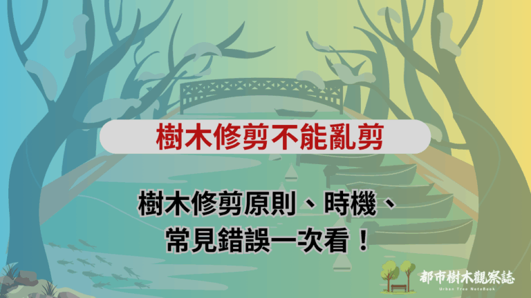 樹木修剪不能亂剪｜樹木修剪原則、時機、常見錯誤一次看！