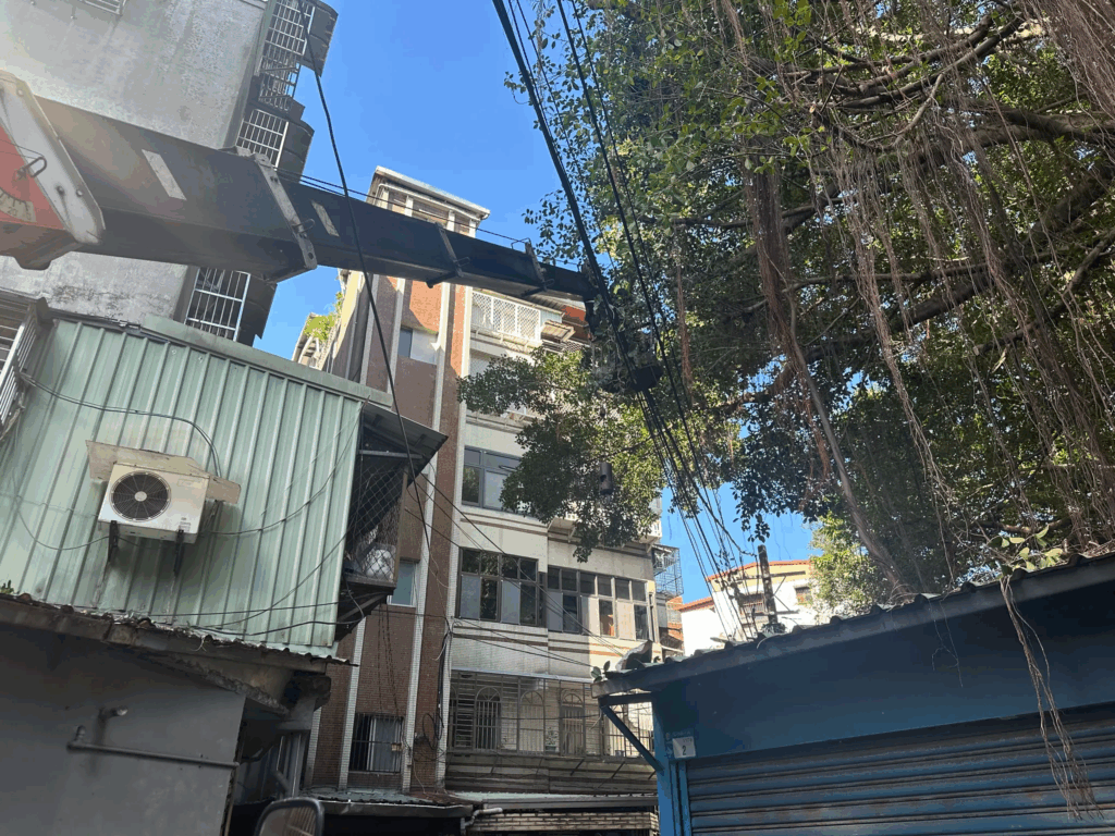 修剪樹木的徒長枝,讓樹木與建物保持安全距離!(都市樹木觀察誌拍攝)