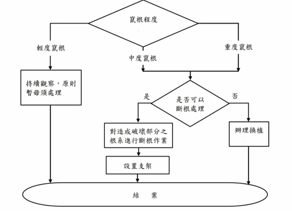 臺北市 110 年修訂實施之行道樹竄根處理標準作業流程圖/圖來自北市公園處