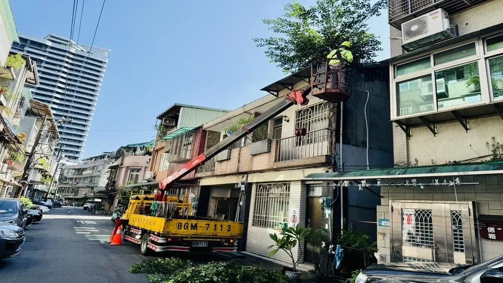 藝樹人專業的攀樹師與樹藝師,正在進行屋頂樹木的安全移除作業!