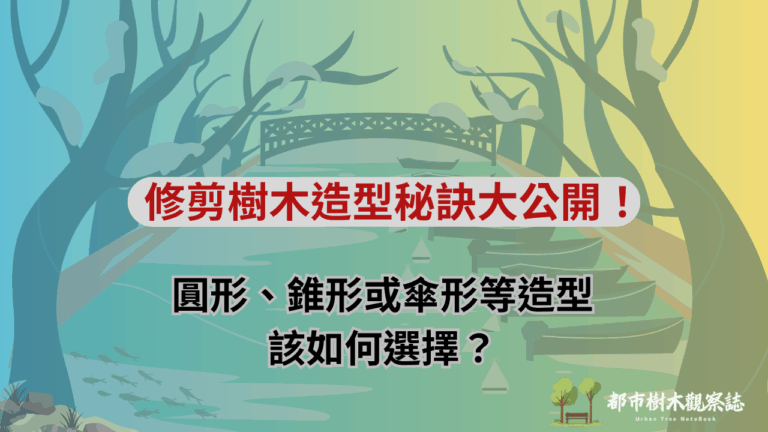 修剪樹木造型秘訣大公開！圓形、錐形或傘形等造型該如何選擇？