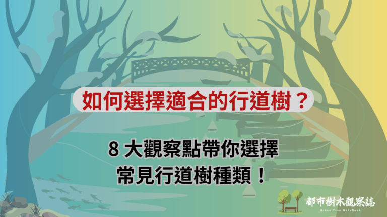 如何選擇適合的行道樹？8 大觀察點帶你選擇常見行道樹種類！