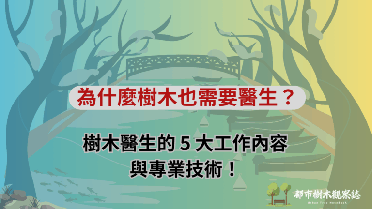 為什麼樹木也需要醫生？樹木醫生的 5 大工作內容與專業技術！