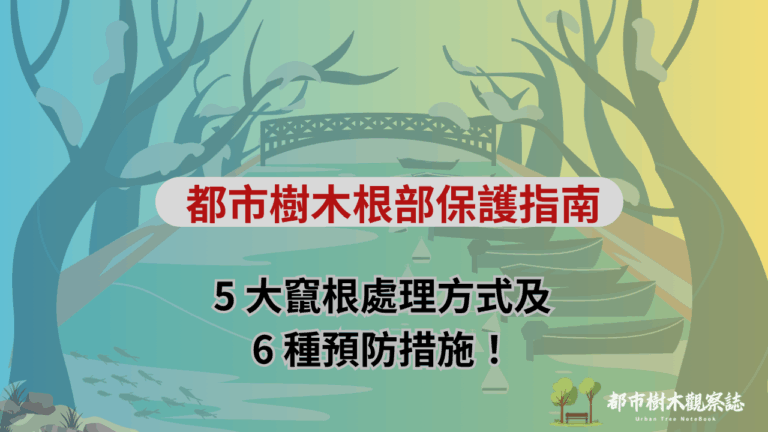 都市樹木根部保護指南：5 大竄根處理方式及 6 種預防措施！