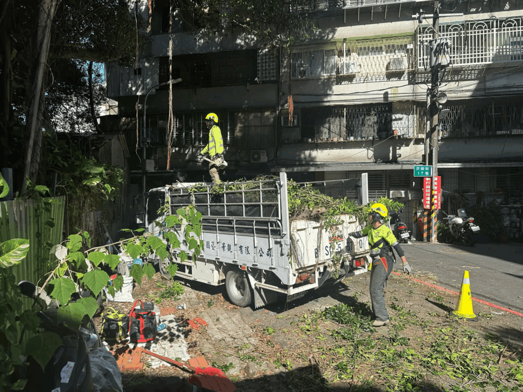 樹木修剪公司正在用電鋸切除多餘枝幹,鋪平貨車上的樹木枝條!