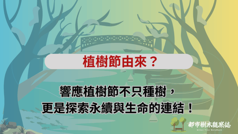 植樹節由來？響應植樹節不只種樹，更是探索永續與生命的連結！