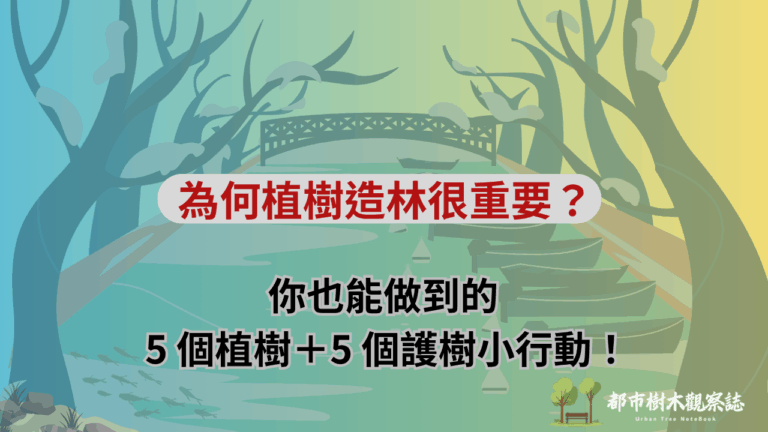 為何植樹造林很重要？你也能做到的 5 個植樹＋5 個護樹小行動！