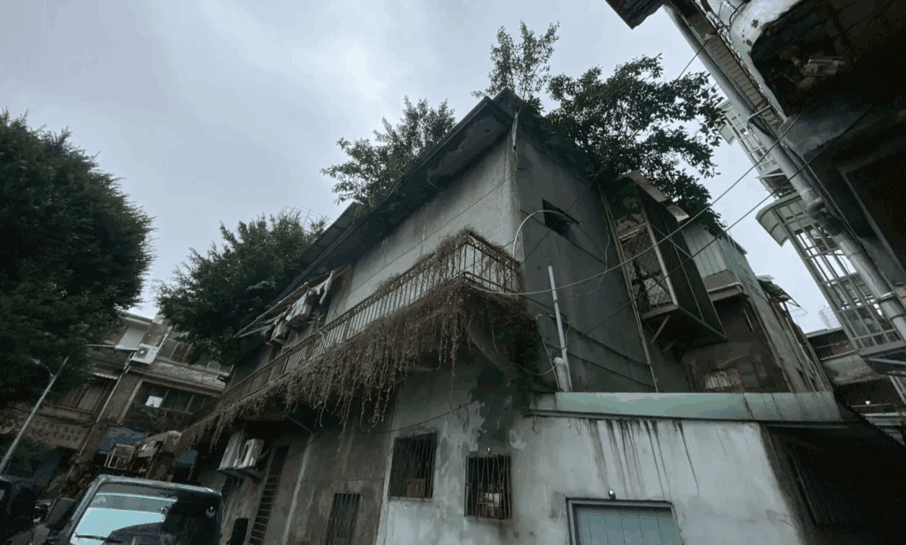 老舊房屋若久未住人,容易被樹木佔據,更嚴重者便會貌似陰森森的鬼屋,充滿陰氣!