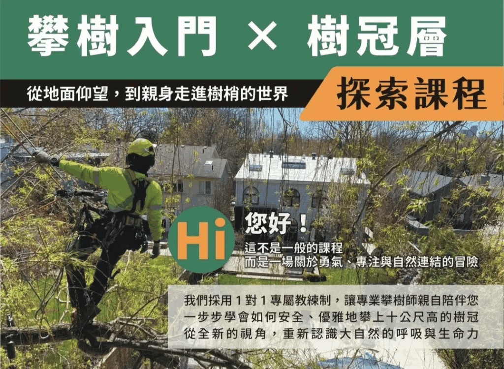 藝樹人推出四階段的攀樹課程,讓你輕鬆學習進階又專業的攀樹技巧與知識!