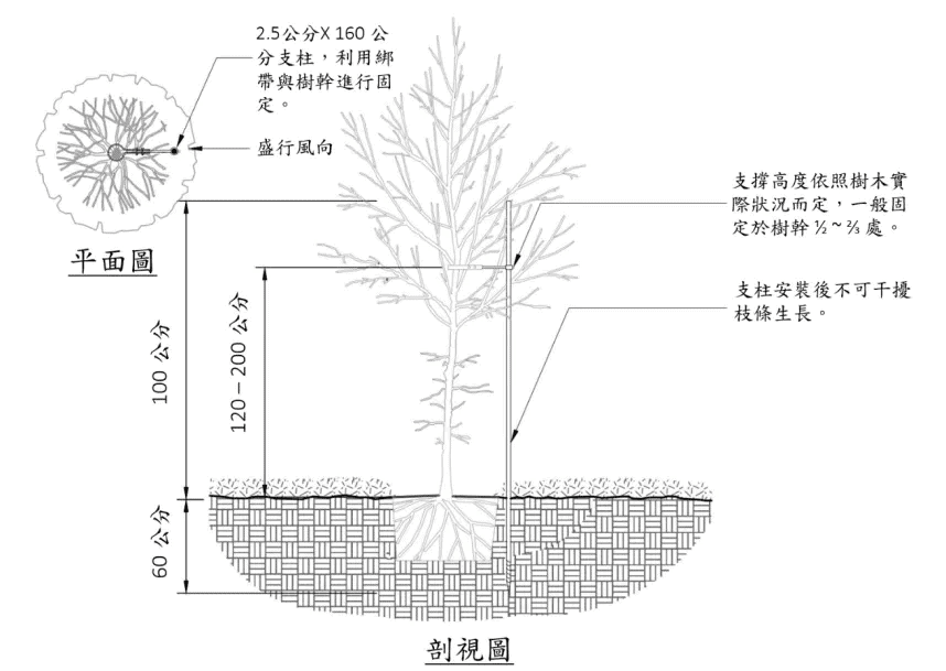 單桿式樹木固定支架/圖來自樹木植栽設計施工手冊