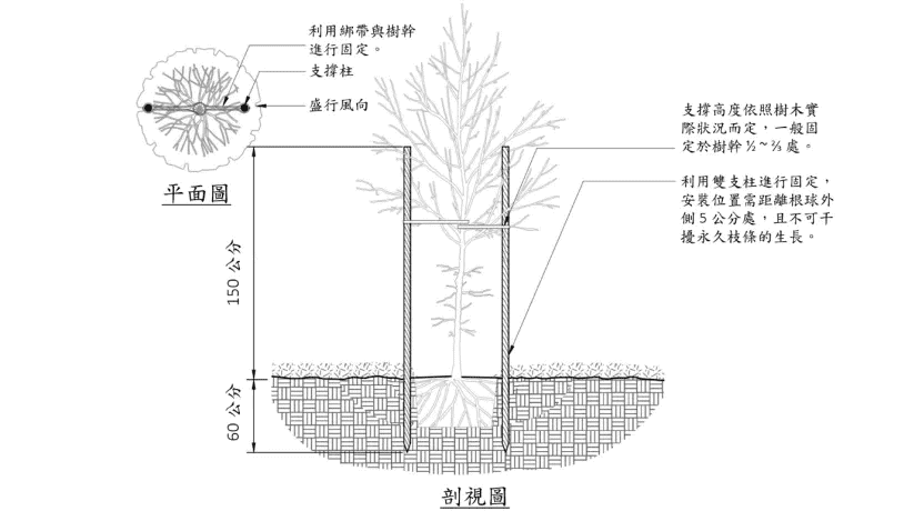 雙桿式樹木固定支架/圖來自樹木植栽設計施工手冊