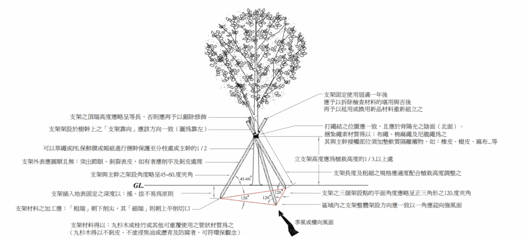 三柱式樹木支架綁法/圖來自高雄市植栽移植作業規範