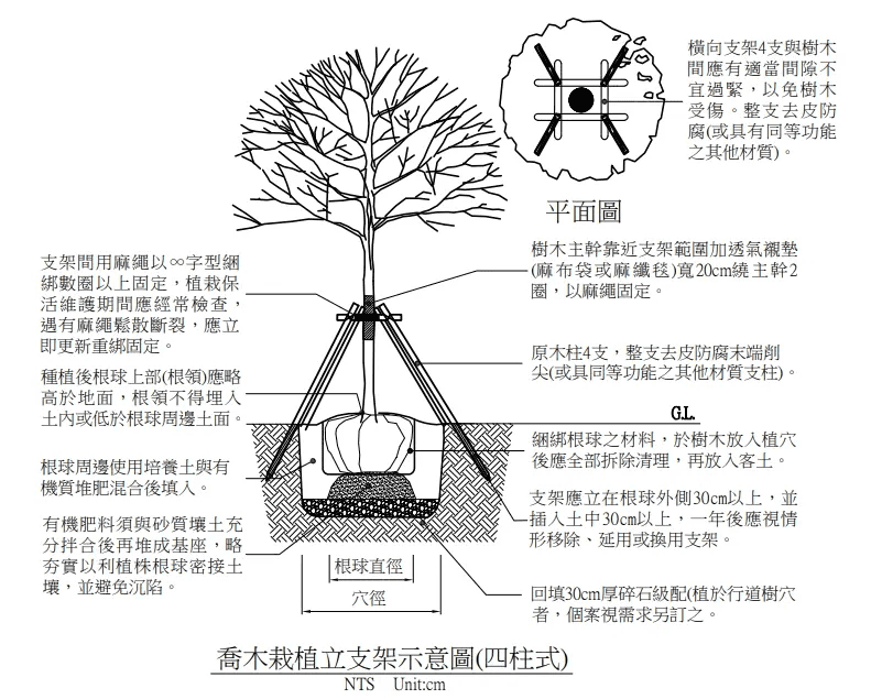 四柱式樹木支架綁法/圖來自台北市政府工務局
