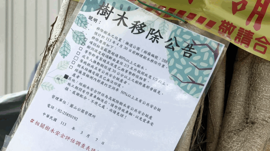 砍樹前,需張貼樹木移除施工公告提醒行人與車輛改道!