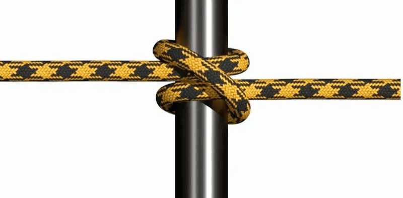 雙套結(圖來自 Knot 3D)