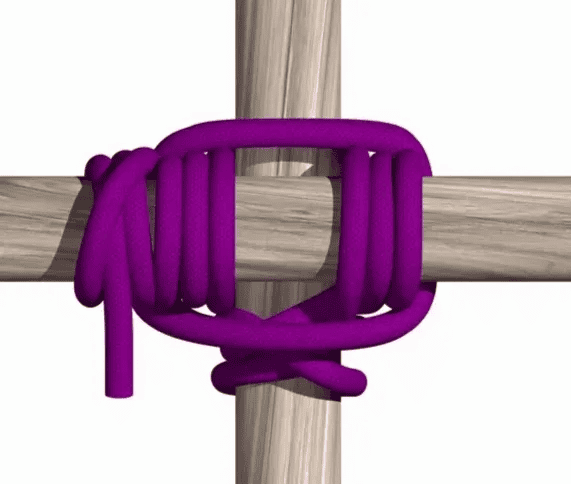 方回結(圖來自 Knot 3D)