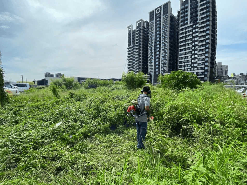 夏季一不注意,空地的雜草瞬間又長成了草叢,難以清除!