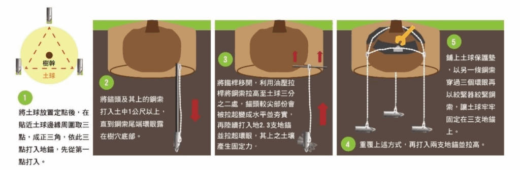 地下根球固定法/圖來自樹木植栽設計施工手冊