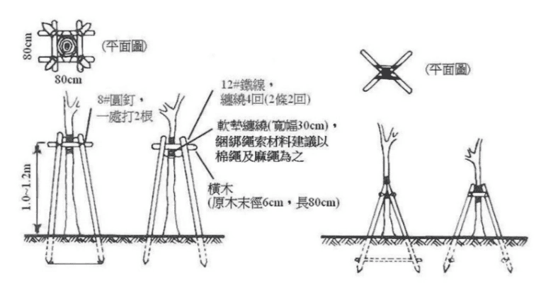 井字/四角樹木支撐架/圖來自農業主題館