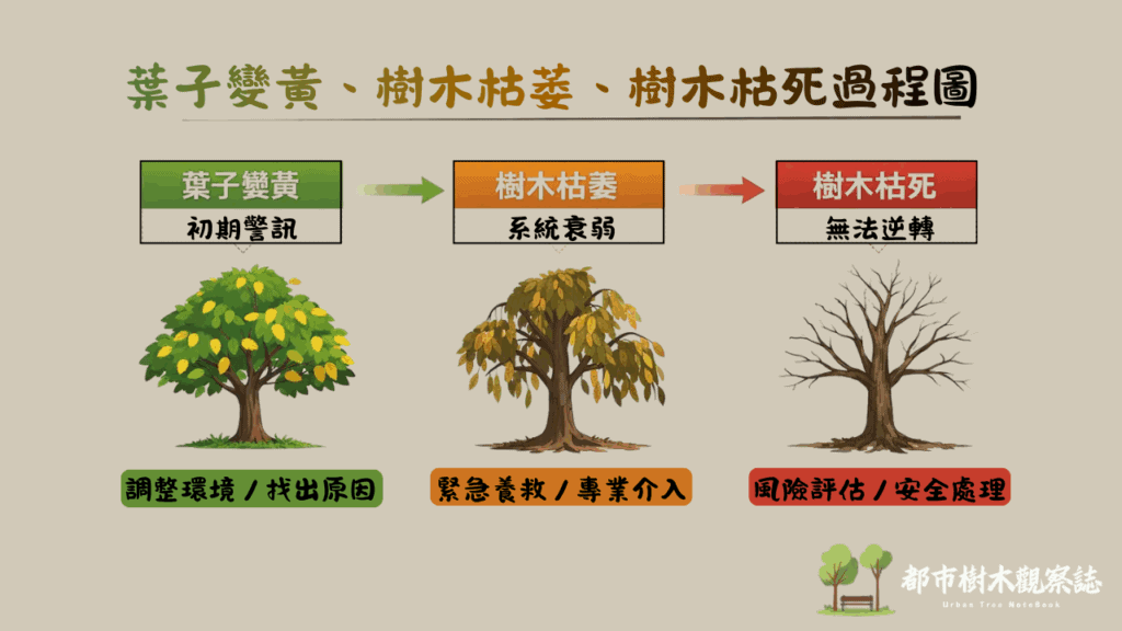 葉子變黃、樹木枯萎、樹木枯死這三者不是不同問題,而是同一條惡化路徑上的不同階段。