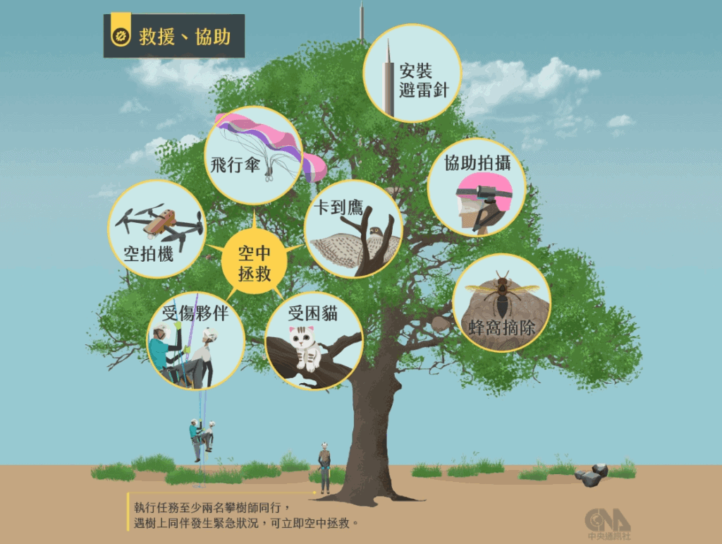 樹上空中救援技能運用多元,從無人機、小貓到受傷夥伴都能協助。/圖來自中央通訊社