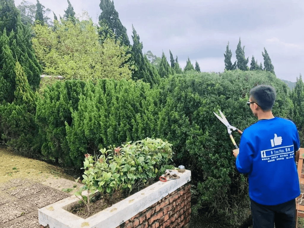維持墓園的莊嚴與美觀,更能展現我們慎終追遠的意涵!