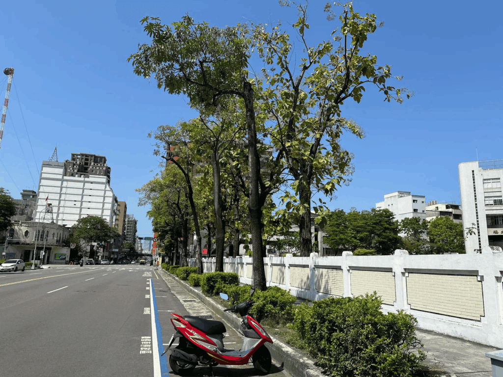 台中科大校園外的斷頭樹,樹枝僅黏在樹皮,且整個重心都偏向車道,強風一來就非常危險!