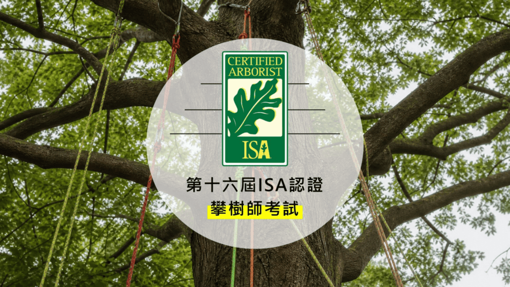 最新一期攀樹師考試將在 2026 年 10 月 24 日舉行, 欲報名者可至都市林官網報名頁填寫報名表單。/圖來自台灣都市林官網