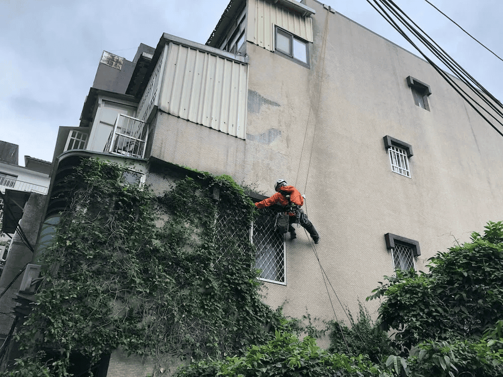 面對社區牆面長草長樹的狀況,就需要有懸吊攀爬的樹藝人員幫您處理。