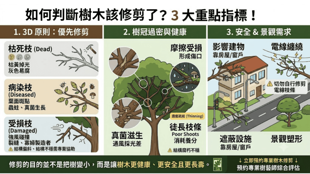 當你觀察到這些樹木狀況，就是樹木在提醒你該修剪它了！