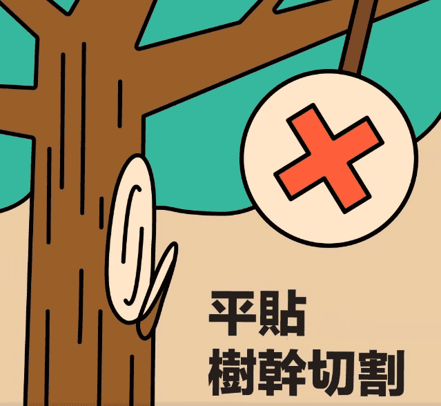 很多人覺得緊貼樹幹平平的才好看,但破壞了枝領,便會造成無法復原的傷口。