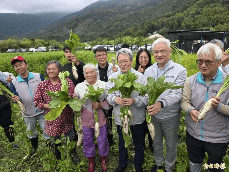 馬太鞍濕地的瑪布隆農場種了半年的綠肥,終於可以豐收地拔蘿蔔。/圖來自自由時報