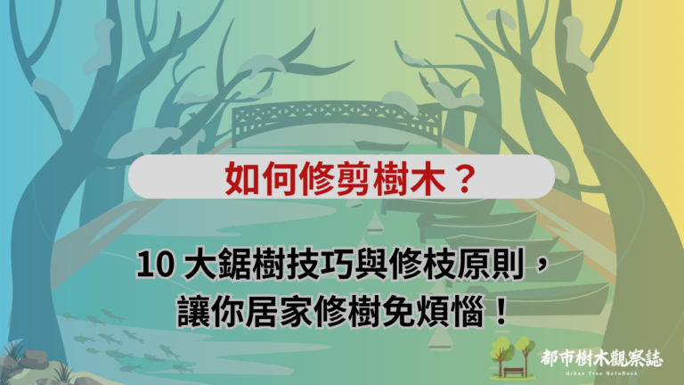 如何修剪樹木？10 大鋸樹技巧與修枝原則，讓你居家修樹免煩惱！