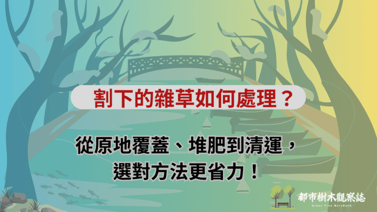 割下的雜草如何處理？從原地覆蓋、堆肥到清運，選對方法更省力