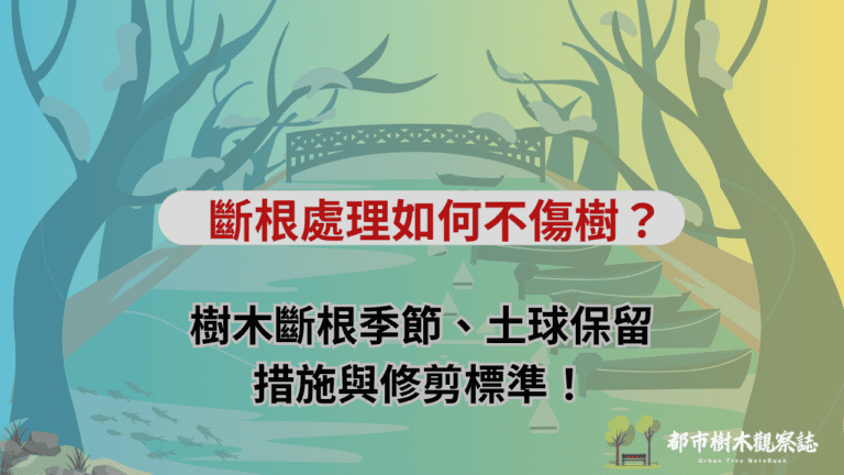 斷根處理如何不傷樹？樹木斷根季節、土球保留措施與修剪標準！