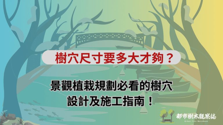 樹穴尺寸要多大才夠？景觀植栽規劃必看的樹穴設計及施工指南！